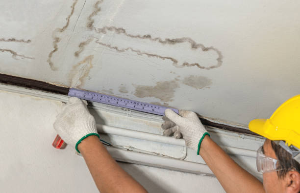 Affordable Water Damage Repair solutions in McCool, MS